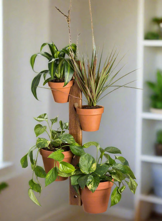 Acacia Wood 6-Pot Plant Holder, 3-Piece Set for Hanging or Display