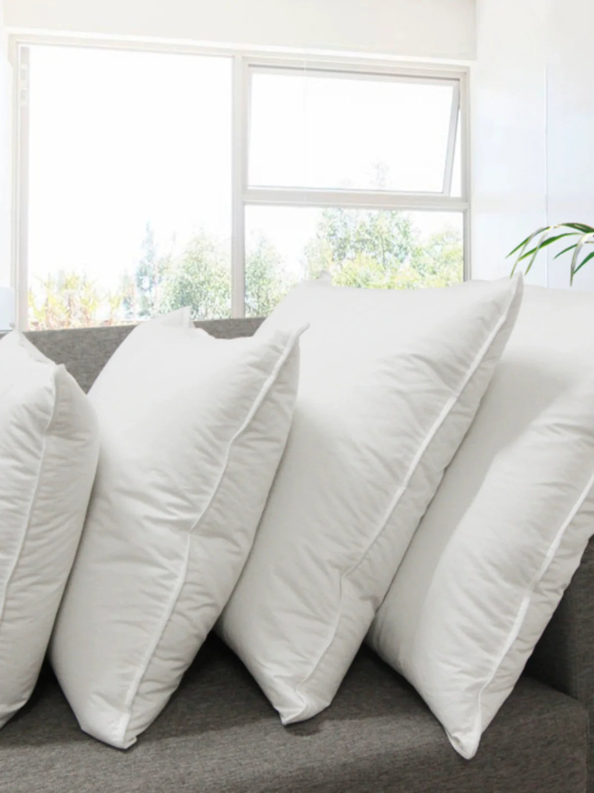Goose Feather Down Throw Pillow Insert with Cotton Cover – view 2