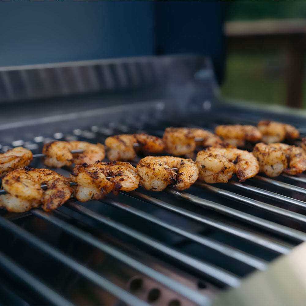 Monument G22 Stainless Steel Portable Tabletop Propane Gas Grill – view 13