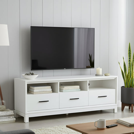 Nova TV Console with Organized Storage and Display