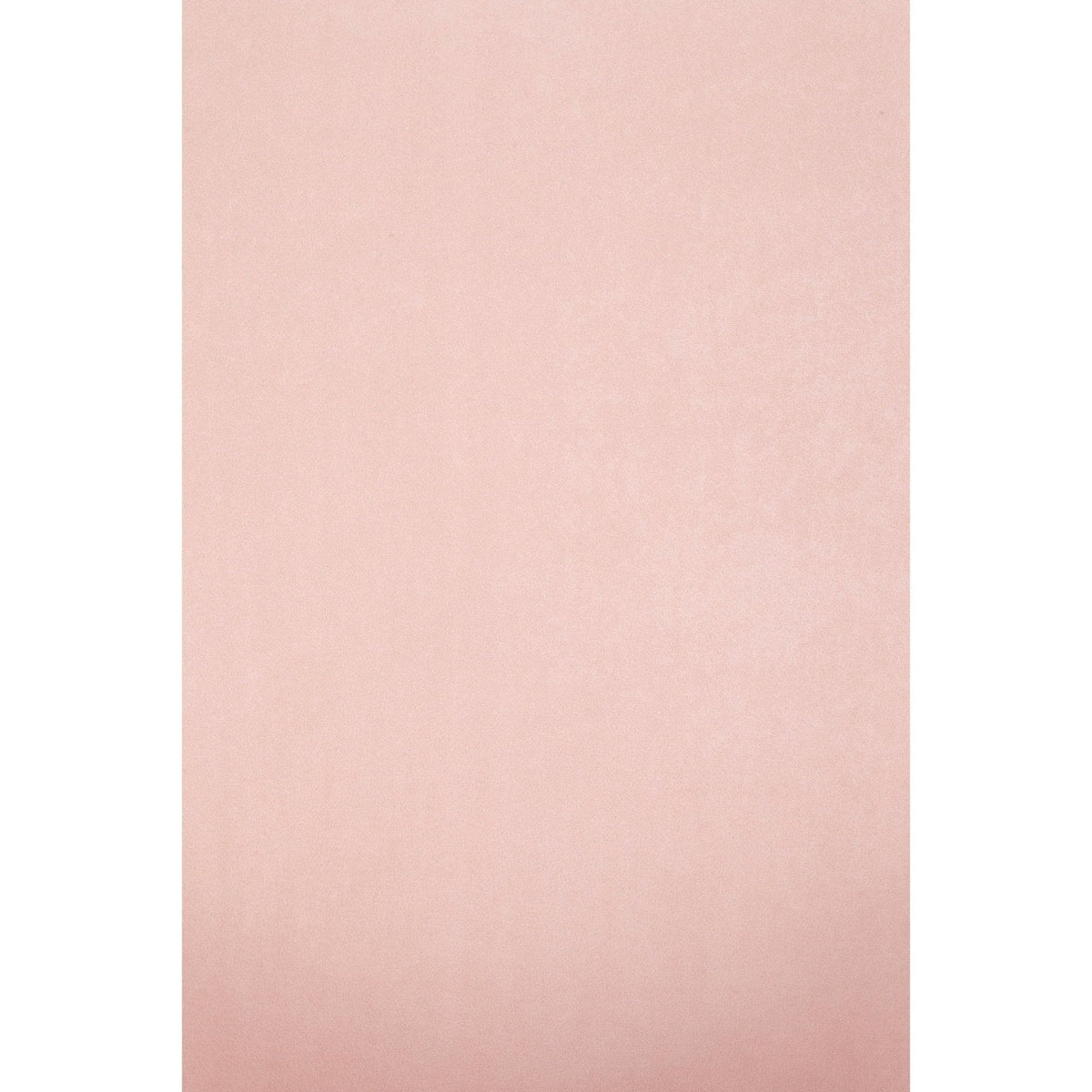 Rebecca Velvet Leisure Accent Chair with Gold Legs, Pink – view 7