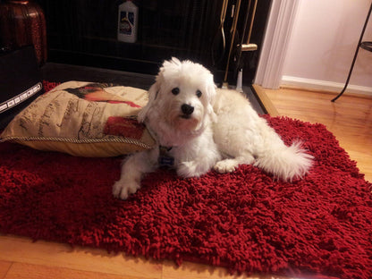 Dark Raspberry Red Cotton Chenille Floor Mat and Area Rug – view 5